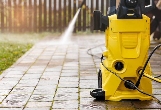 Best Roof Washing  in Cedar Springs, MI